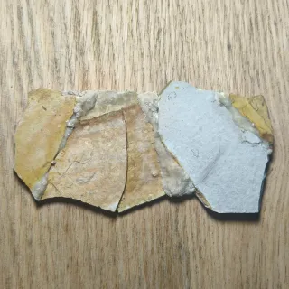 FOSIL DE PEZ EN PIEDRA