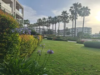 Jardinero fuengirola mijas benalmadena