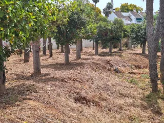 Jardinero fuengirola mijas benalmadena