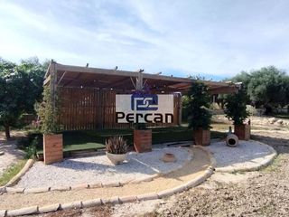 Chalet en alquiler en Campello Playa en Campello (el)