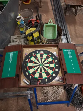 Diana de dardos profesional