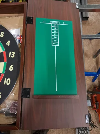 Diana de dardos profesional