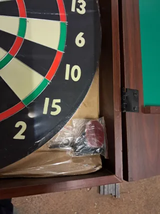 Diana de dardos profesional