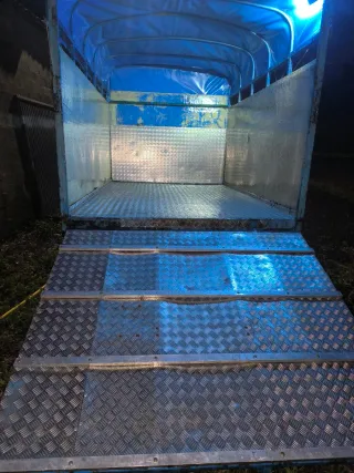 Camión Ganadero Van Remolque Vacas Caballos