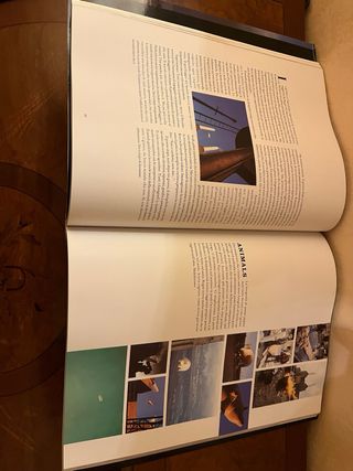 Spirito e Materia: L'arte visionaria dei Pink Floy