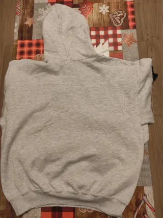 Sudadera Russell Athletic Gris con Capucha