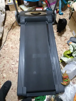 Cinta de correr BH Fitness. Funcionando.