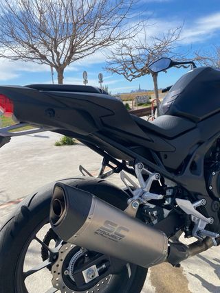 Honda Hornet 750 2025 6 meses