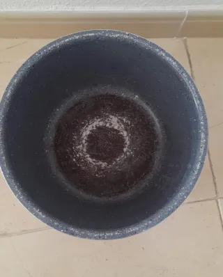 Olla GM E cecotec, buen estado, funciona perfecto