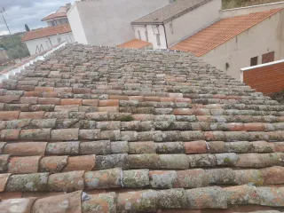 Limpieza de tejados y arreglos