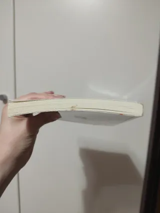 Il Novecento in Sicilia cronache romanzate