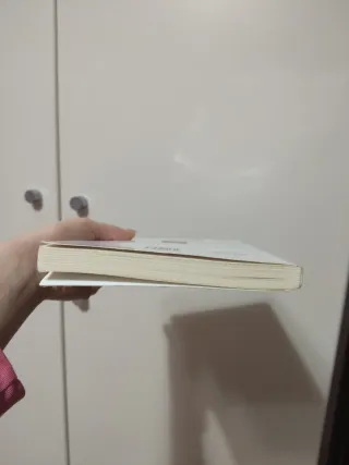 Il Novecento in Sicilia cronache romanzate