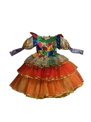 Vestito Carnevale Tavolozza Pittore