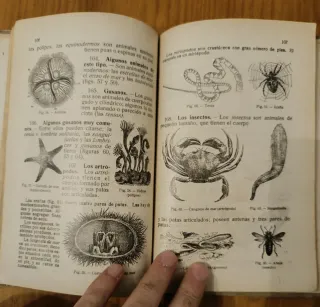 Ciencias físico naturales. Libro antiguo