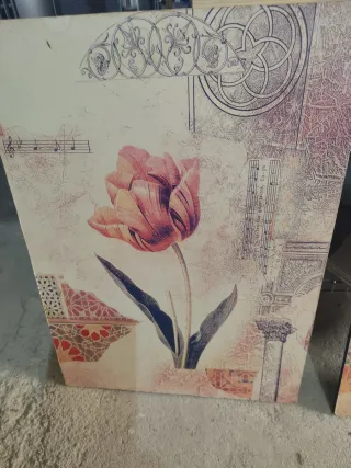 2 Cuadros Decorativos Tulipanes