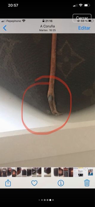 Borsa Louis Vuitton Speedy