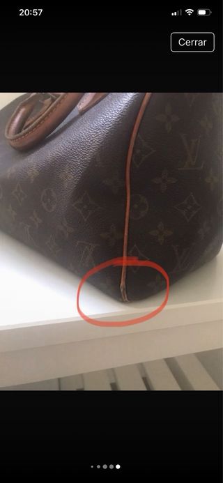 Borsa Louis Vuitton Speedy