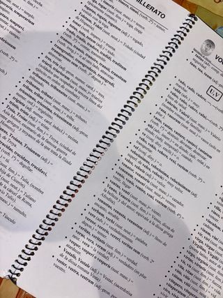 Cuadernillo de latín vocabulario básico