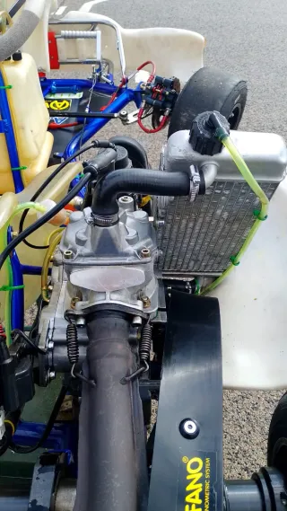 Rotax 125cc 23cv Kart de Competición