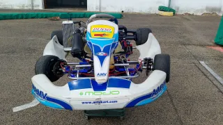 Rotax 125cc 23cv Kart de Competición