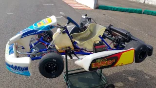 Rotax 125cc 23cv Kart de Competición