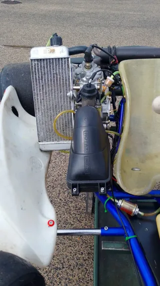 Rotax 125cc 23cv Kart de Competición