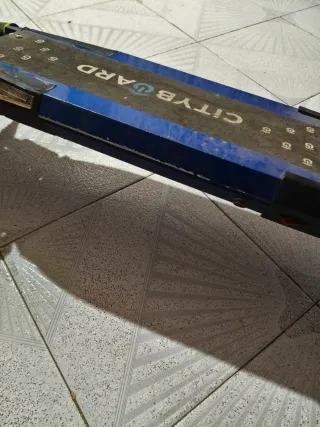 Patinete Cityboard e-city billionaire 48V