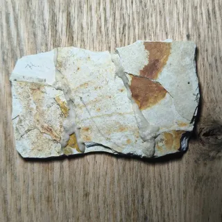 FOSIL DE PEZ EN PIEDRA