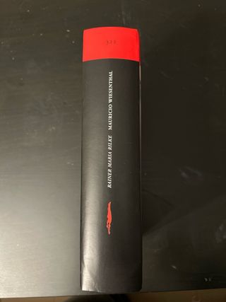 Rainer Maria Rilke: El vidente y lo oculto