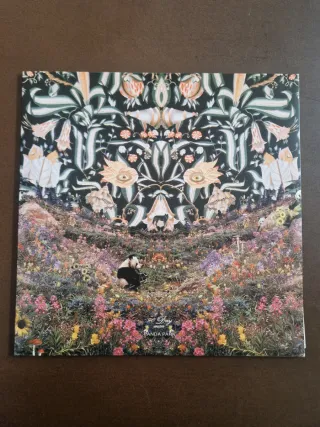 Vinile 90 Day Men Panda Park Prima Stampa