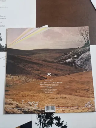 Vinile 90 Day Men Panda Park Prima Stampa