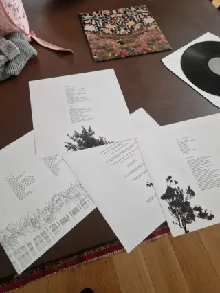 Vinile 90 Day Men Panda Park Prima Stampa