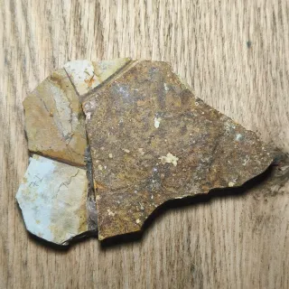 FOSIL DE PEZ EN PIEDRA