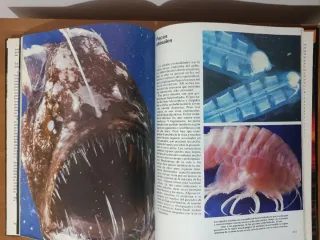 La aventura de la vida+Maravillas de la naturaleza