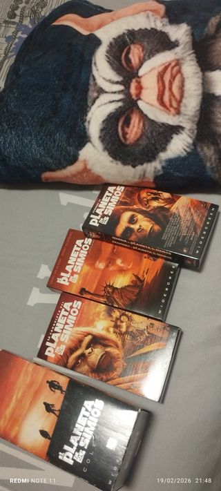 La urbanización de los simios