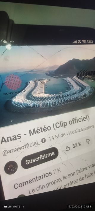 La urbanización de los simios