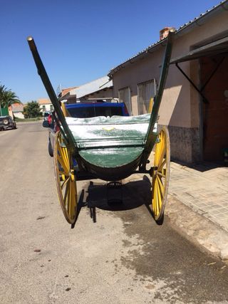 carro de caballo