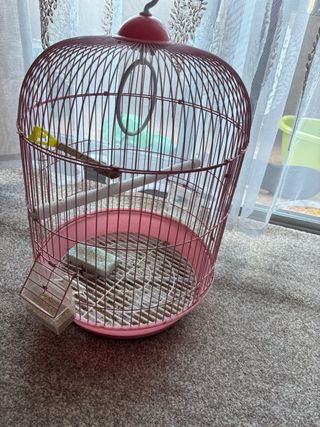 Jaula para pájaros rosa y roja