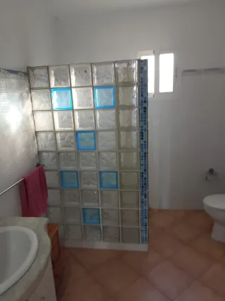 Alquilo casa de campo en Aspe