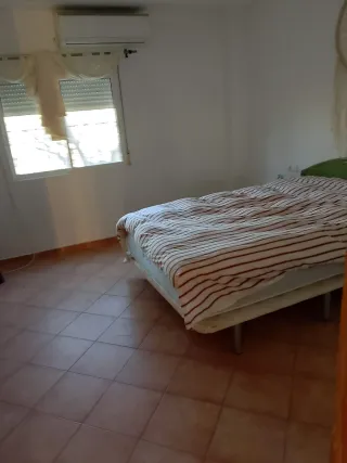 Alquilo casa de campo en Aspe