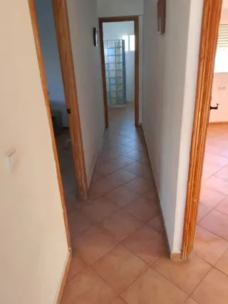 Alquilo casa de campo en Aspe