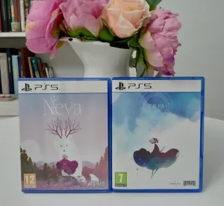 PS5 Pack Gris y Neva