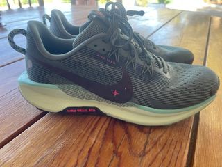 Zapatilla Nike Trail Pegasus 5