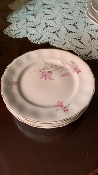 Juego 12 Platos Porcelana Flores Rosas