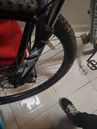 Specialized Rockhopper 2020