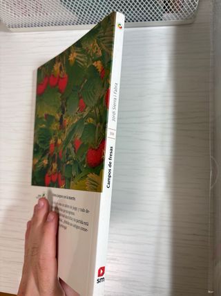 Campos de fresas (Spanish Edition)