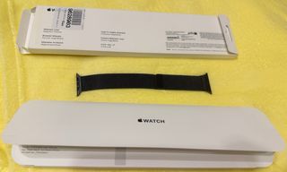 Correa Milanese Loop Apple 45mm original