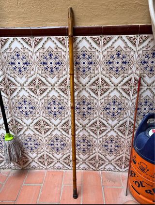 Bastón de caña de India para senderismo