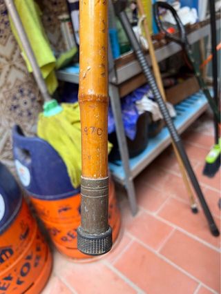 Bastón de caña de India para senderismo