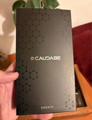 Caudabe Sheath iPhone 17